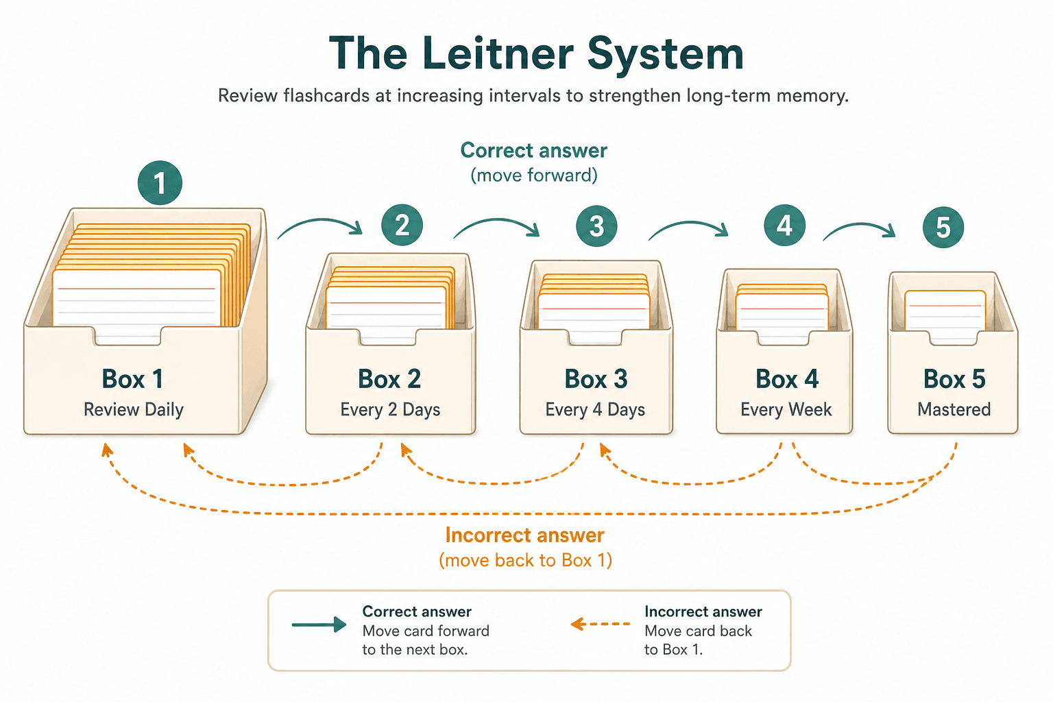 A flat-design diagram showing five labeled card boxes from 'Review Daily' (Box 1) to 'Mastered' (Box 5), with arrows showing cards moving forward on correct answers and back to Box 1 on incorrect answers.